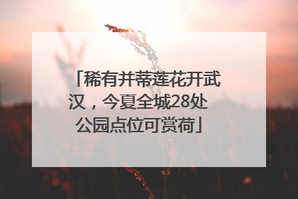 稀有并蒂莲花开武汉，今夏全城28处公园点位可赏荷