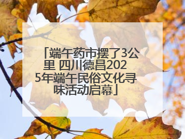 端午药市摆了3公里 四川德昌2025年端午民俗文化寻味活动启幕