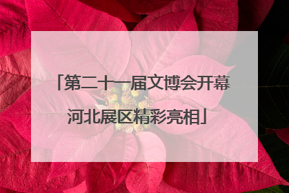 第二十一届文博会开幕 河北展区精彩亮相