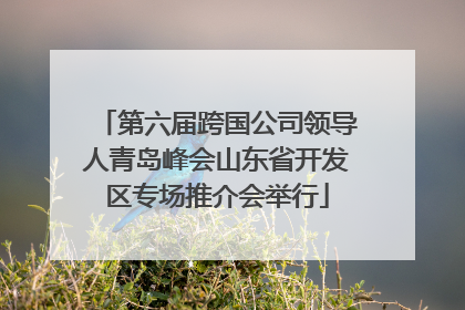 第六届跨国公司领导人青岛峰会山东省开发区专场推介会举行