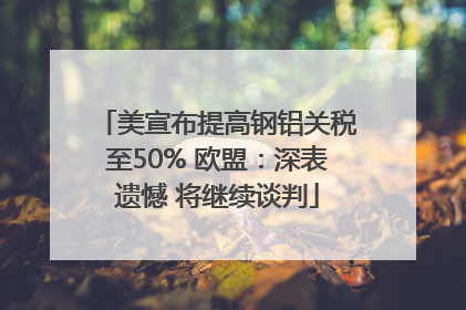美宣布提高钢铝关税至50% 欧盟：深表遗憾 将继续谈判