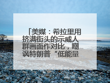 美媒：希拉里用挤满街头的示威人群画面作对比，嘲讽特朗普“低能量”阅兵式观众少