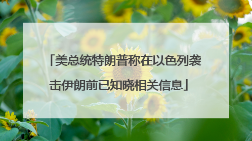 美总统特朗普称在以色列袭击伊朗前已知晓相关信息