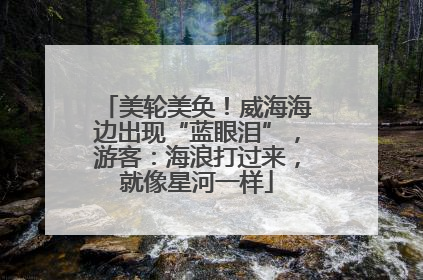 美轮美奂！威海海边出现“蓝眼泪”，游客：海浪打过来，就像星河一样