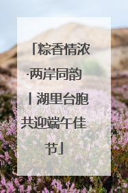 粽香情浓·两岸同韵丨湖里台胞共迎端午佳节