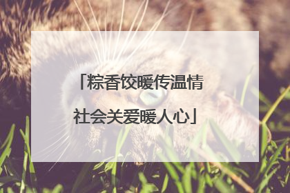 粽香饺暖传温情 社会关爱暖人心