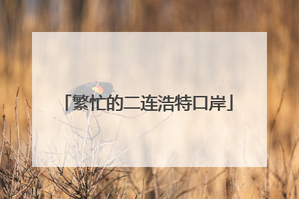 繁忙的二连浩特口岸