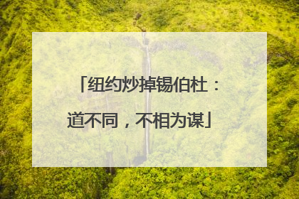 纽约炒掉锡伯杜：道不同，不相为谋