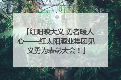 红阳映大义 勇者暖人心——红太阳酒业集团见义勇为表彰大会！