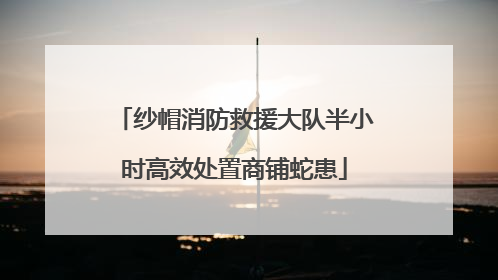 纱帽消防救援大队半小时高效处置商铺蛇患