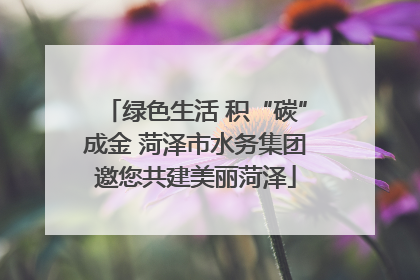 绿色生活 积“碳”成金 菏泽市水务集团邀您共建美丽菏泽