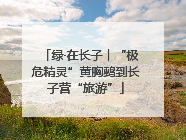 绿·在长子丨“极危精灵”黄胸鹀到长子营“旅游”