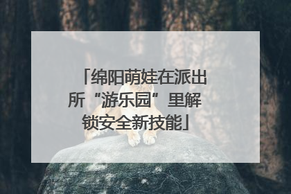 绵阳萌娃在派出所“游乐园”里解锁安全新技能
