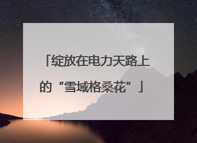 绽放在电力天路上的“雪域格桑花”