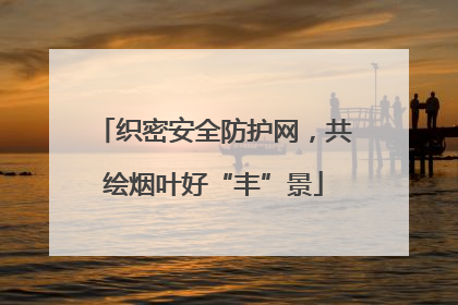 织密安全防护网，共绘烟叶好“丰”景