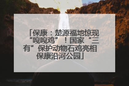 保康：楚源福地惊现“嘎嘎鸡”！国家“三有”保护动物石鸡亮相保康沿河公园