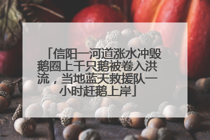 信阳一河道涨水冲毁鹅圈上千只鹅被卷入洪流，当地蓝天救援队一小时赶鹅上岸