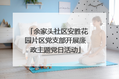 余家头社区安胜花园片区党支部开展廉政主题党日活动