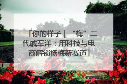 你的样子｜“梅”二代戚军洋：用科技与电商解锁杨梅新赛道