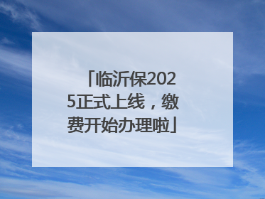 临沂保2025正式上线，缴费开始办理啦