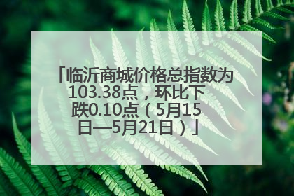 临沂商城价格总指数为103.38点，环比下跌0.10点（5月15日—5月21日）