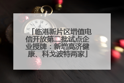 临港新片区增值电信开放第二批试点企业授牌：新增高济健康、科戈波特两家