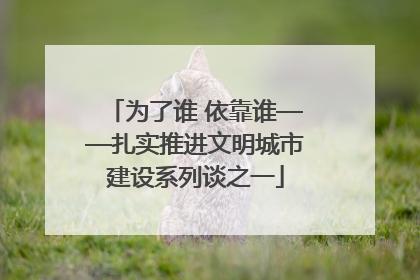 为了谁 依靠谁——扎实推进文明城市建设系列谈之一