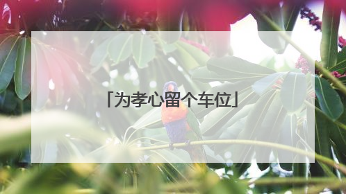 为孝心留个车位