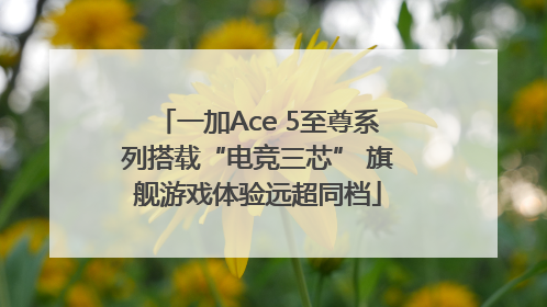一加Ace 5至尊系列搭载“电竞三芯” 旗舰游戏体验远超同档