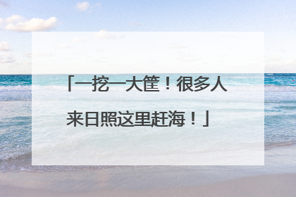 一挖一大筐！很多人来日照这里赶海！