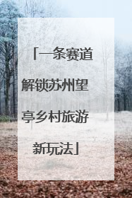 一条赛道解锁苏州望亭乡村旅游新玩法