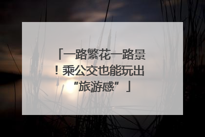 一路繁花一路景！乘公交也能玩出“旅游感”