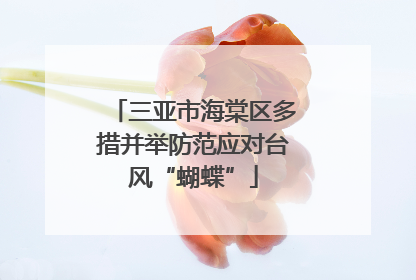 三亚市海棠区多措并举防范应对台风“蝴蝶”