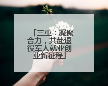 三亚：凝聚合力，共赴退役军人就业创业新征程