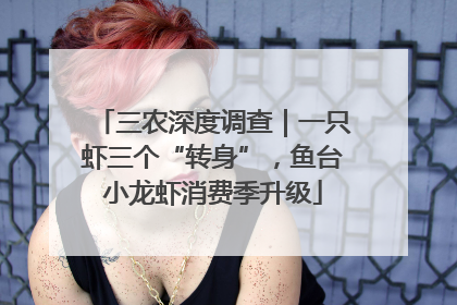 三农深度调查｜一只虾三个“转身”，鱼台小龙虾消费季升级