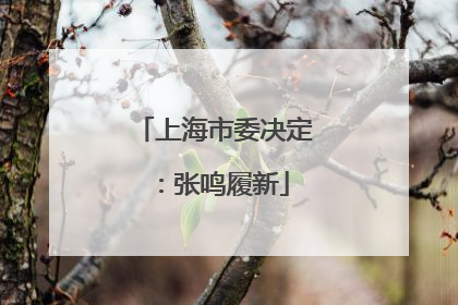 上海市委决定：张鸣履新