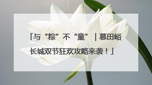 与“粽”不“童”｜慕田峪长城双节狂欢攻略来袭！