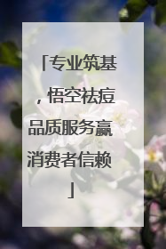 专业筑基，悟空祛痘品质服务赢消费者信赖
