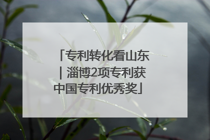 专利转化看山东｜淄博2项专利获中国专利优秀奖