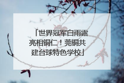世界冠军白雨露亮相铜仁！莞铜共建台球特色学校