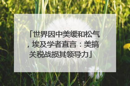 世界因中美缓和松气，埃及学者直言：美搞关税战损其领导力