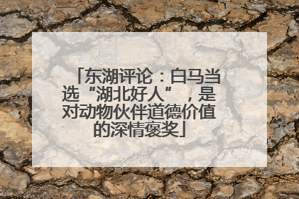 东湖评论：白马当选“湖北好人”，是对动物伙伴道德价值的深情褒奖