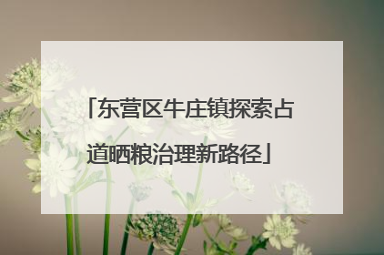 东营区牛庄镇探索占道晒粮治理新路径