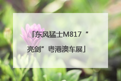 东风猛士M817“亮剑”粤港澳车展