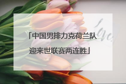 中国男排力克荷兰队 迎来世联赛两连胜