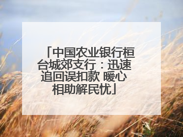 中国农业银行桓台城郊支行：迅速追回误扣款 暖心相助解民忧
