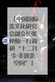 中国国际茶文化研究会副会长张仲灿一行调研“十二月令·非遗茶空间”