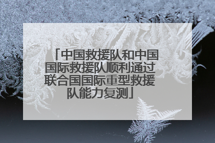 中国救援队和中国国际救援队顺利通过联合国国际重型救援队能力复测