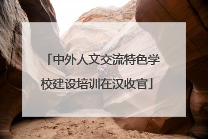 中外人文交流特色学校建设培训在汉收官
