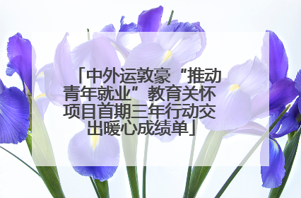 中外运敦豪“推动青年就业”教育关怀项目首期三年行动交出暖心成绩单
